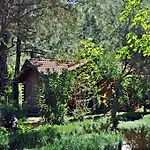 Holiday park Kizilbuk Ahsap Evleri