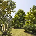 Holiday park Kizilbuk Ahsap Evleri Datca