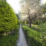 Kizilbuk Ahsap Evleri Holiday park