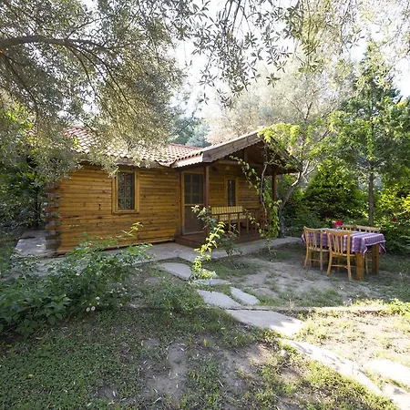 Holiday park Kizilbuk Ahsap Evleri 3*