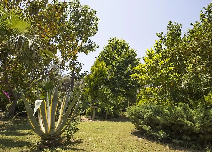 Ferienpark Kizilbuk Ahsap Evleri Datça