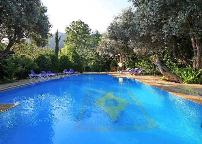 Holiday park Kizilbuk Ahsap Evleri