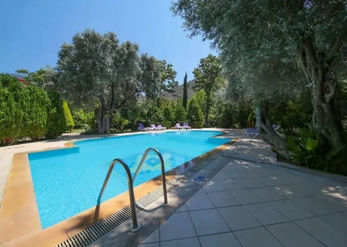 Holiday park Kizilbuk Ahsap Evleri 3*