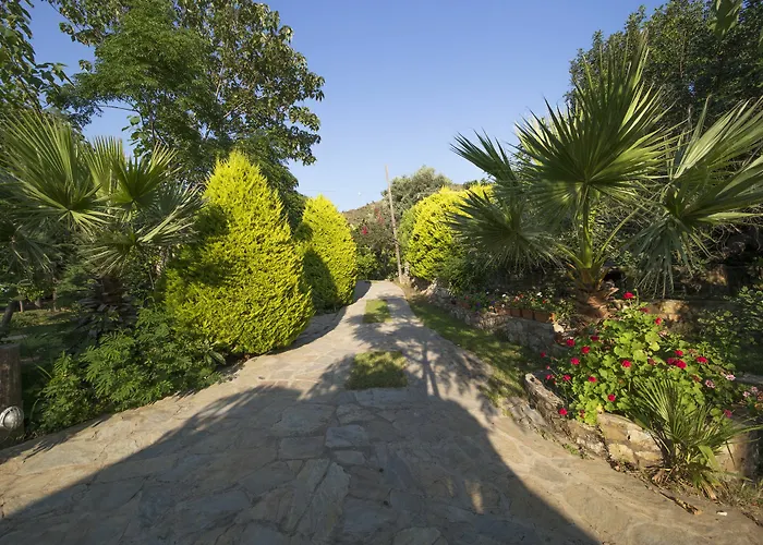 Holiday park Kizilbuk Ahsap Evleri